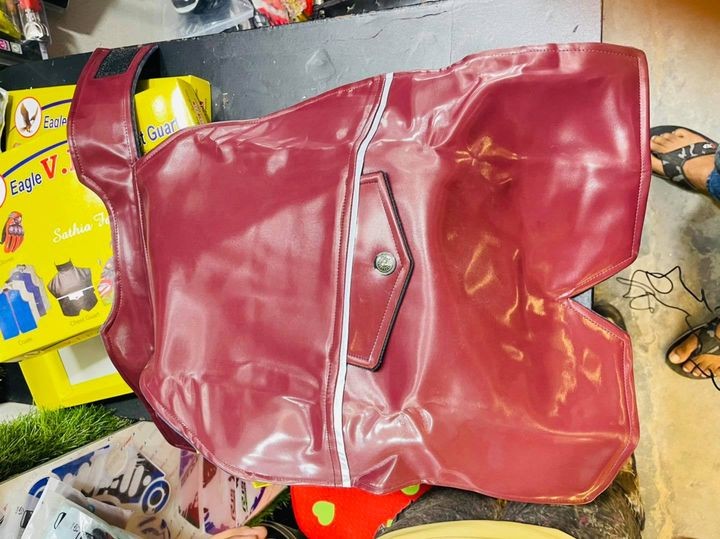 Comfortable Chest Guard Protection from wind image