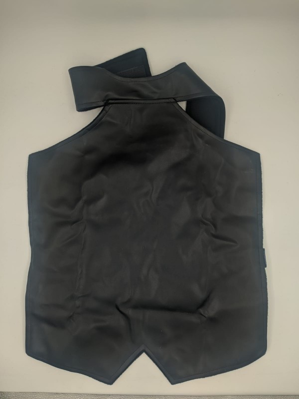 Comfortable Chest Guard Protection from wind image