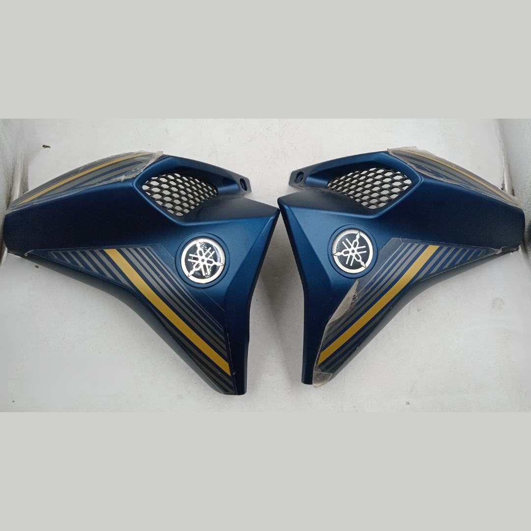 Air / Scope Guide FZS FI image