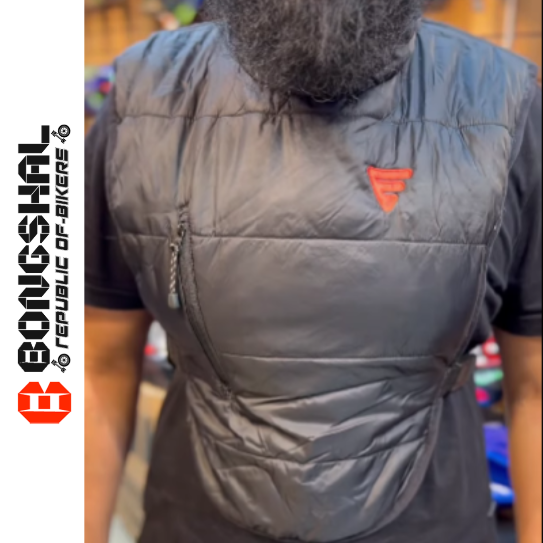 Elegant Chest Guard image
