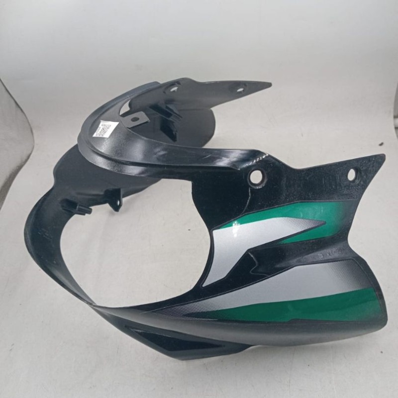 Headlight Fairing Discover 110 image