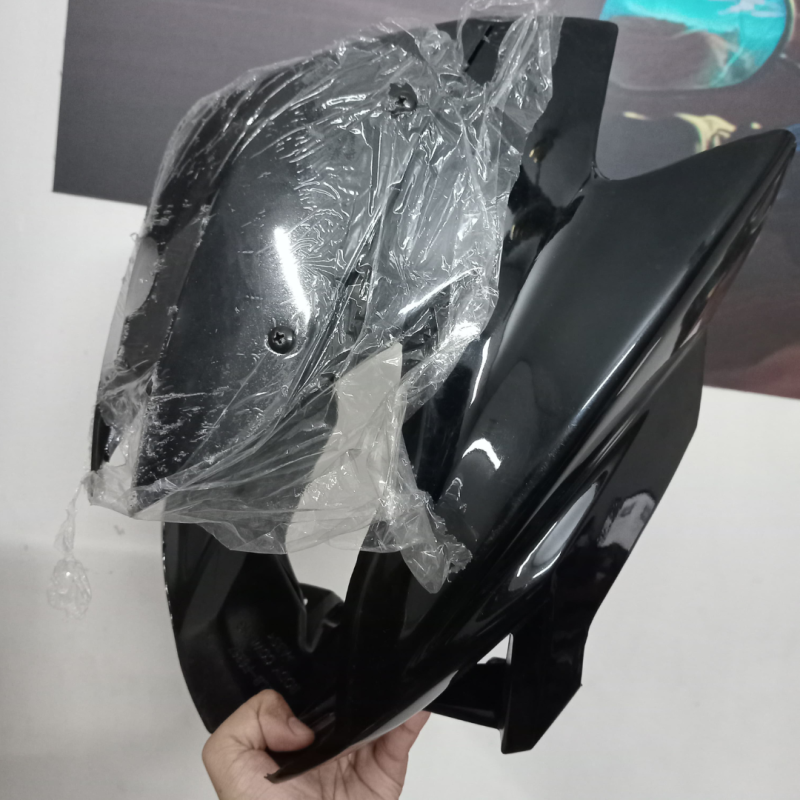 Headlight Fairing Saluto 125 image