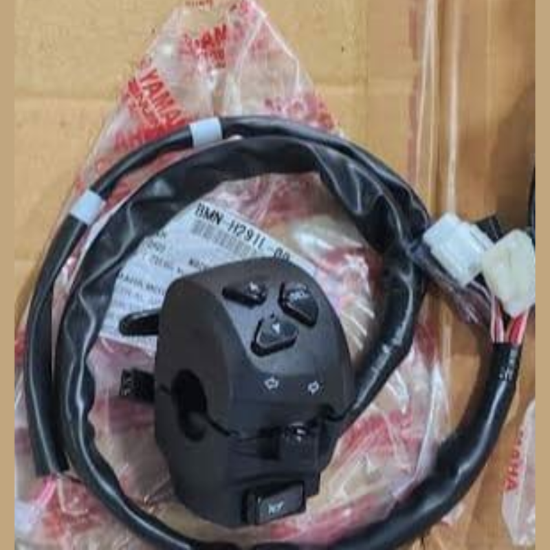 Left Chapa R15M Indian BS7, SW. Handle LH BMN-H291L-00 image