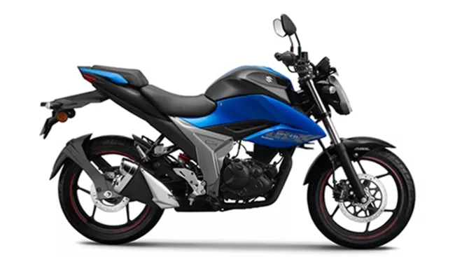 Pillion Grab Rail (pair) for Gixxer image