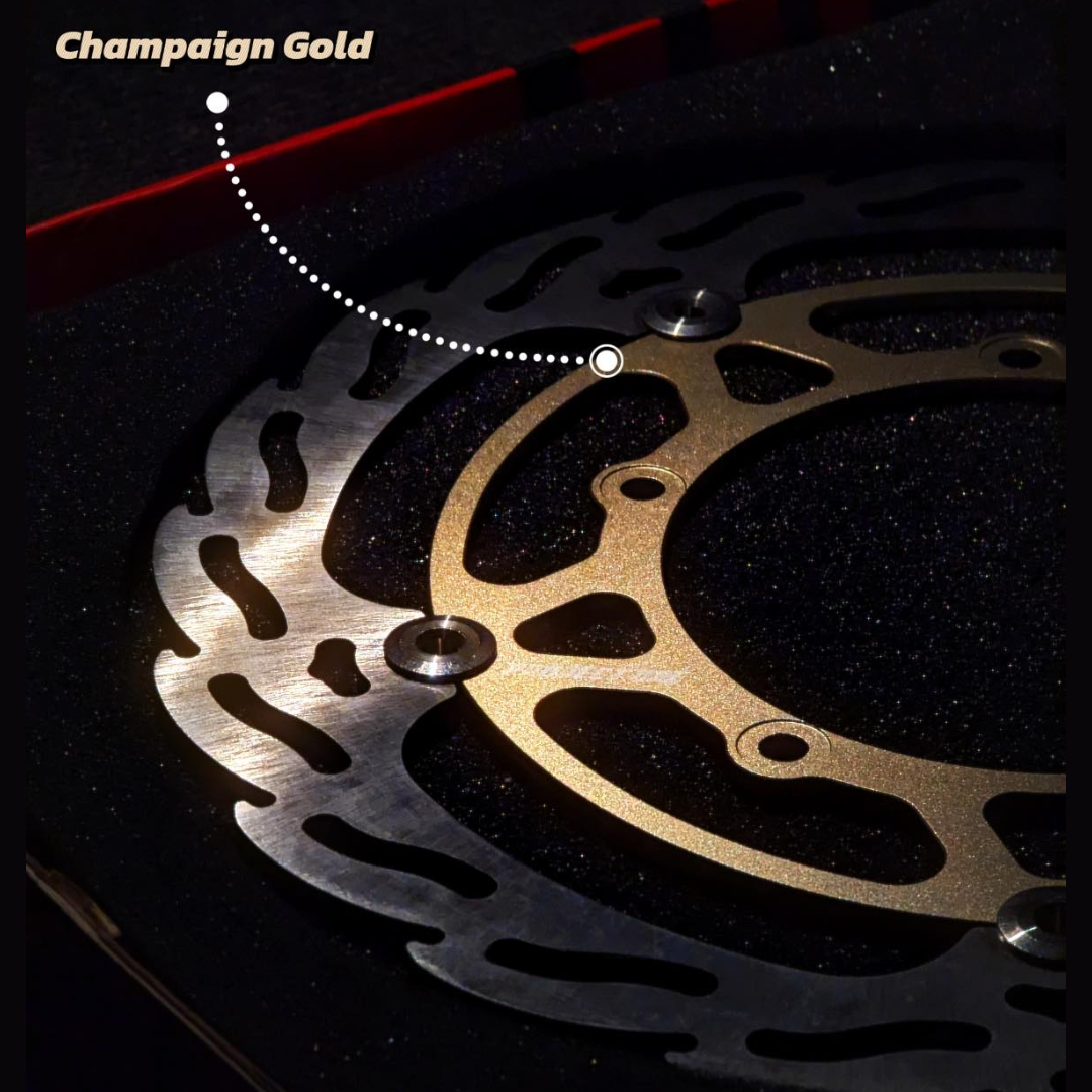 Project One Brake Disc For R15 V3 Indo image