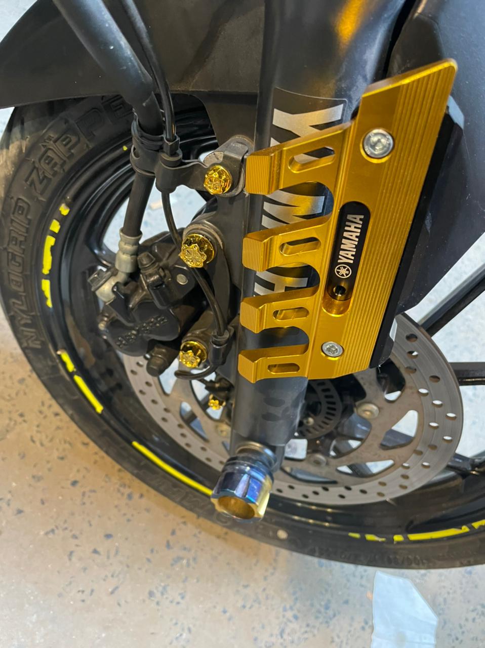 R15 v3 R15 v4 Caliper Guard image