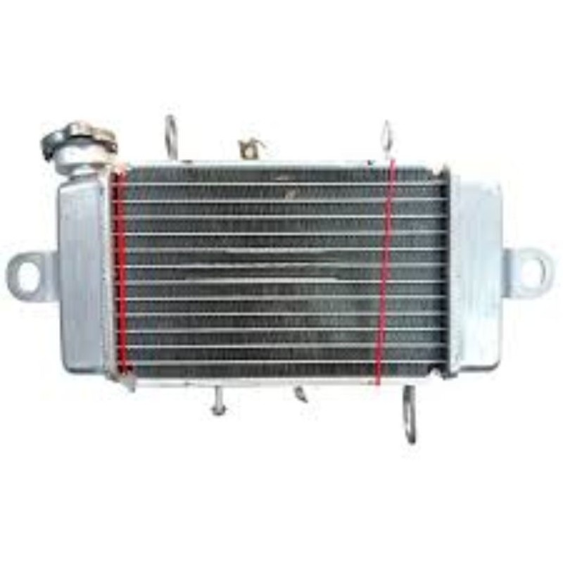 Radiator Without Fan R15 V3 Indian image