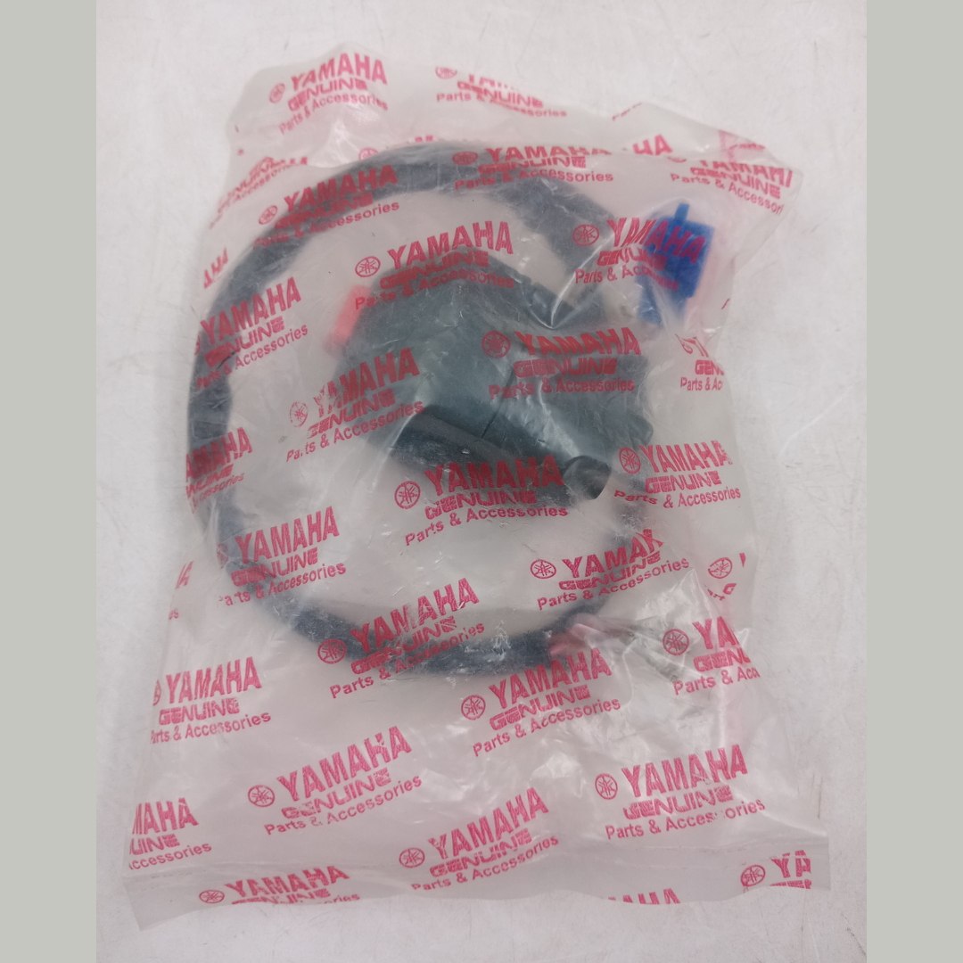 Right Chapa R15 V4 image