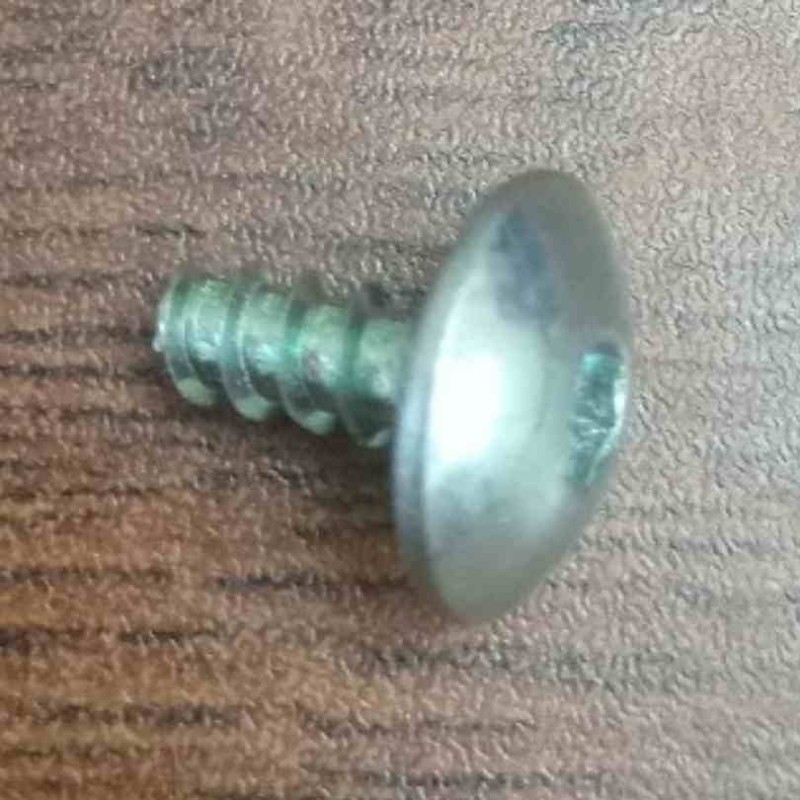 Tank Cover Screw Per Piece FZS V2 image