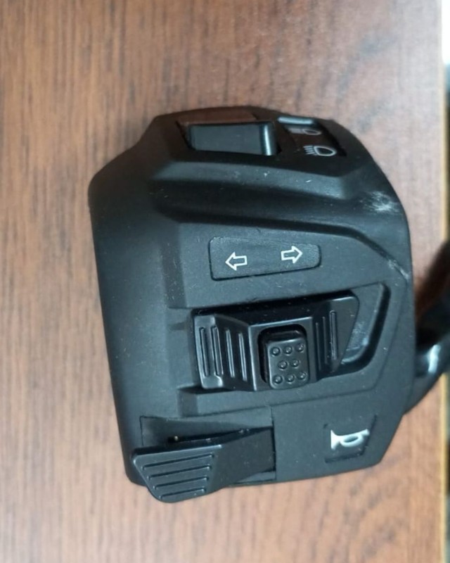 Left Side Switch Chapa Pulsar AS 150 CC image