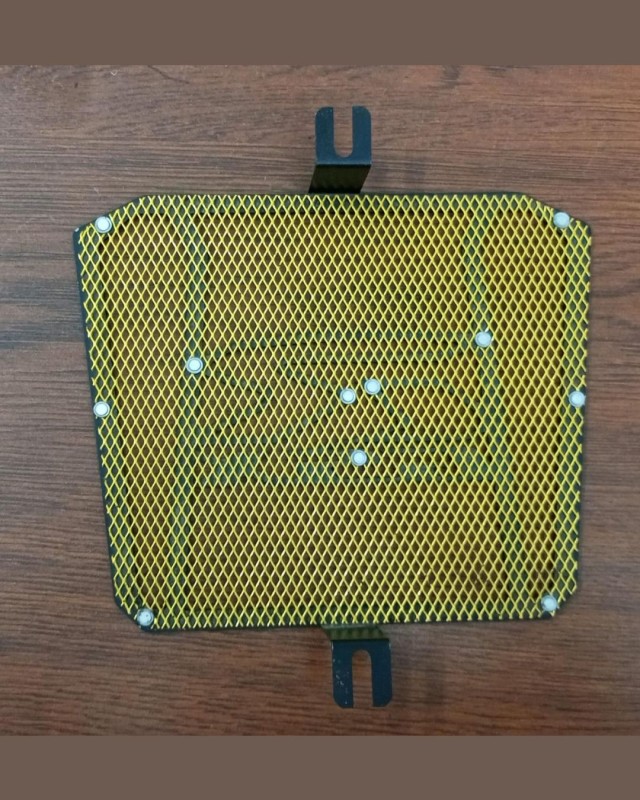 GSX-R Radiator Guard image