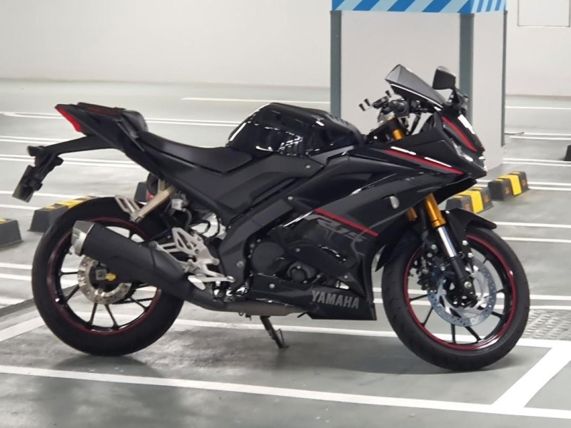 Back panel R15 V3 Indo Single (1 Piece)