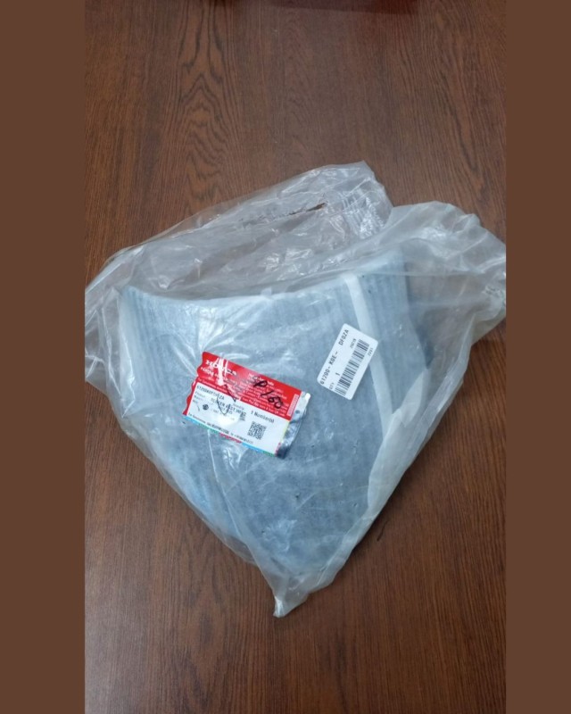 Windshield / Visor Honda SP 160