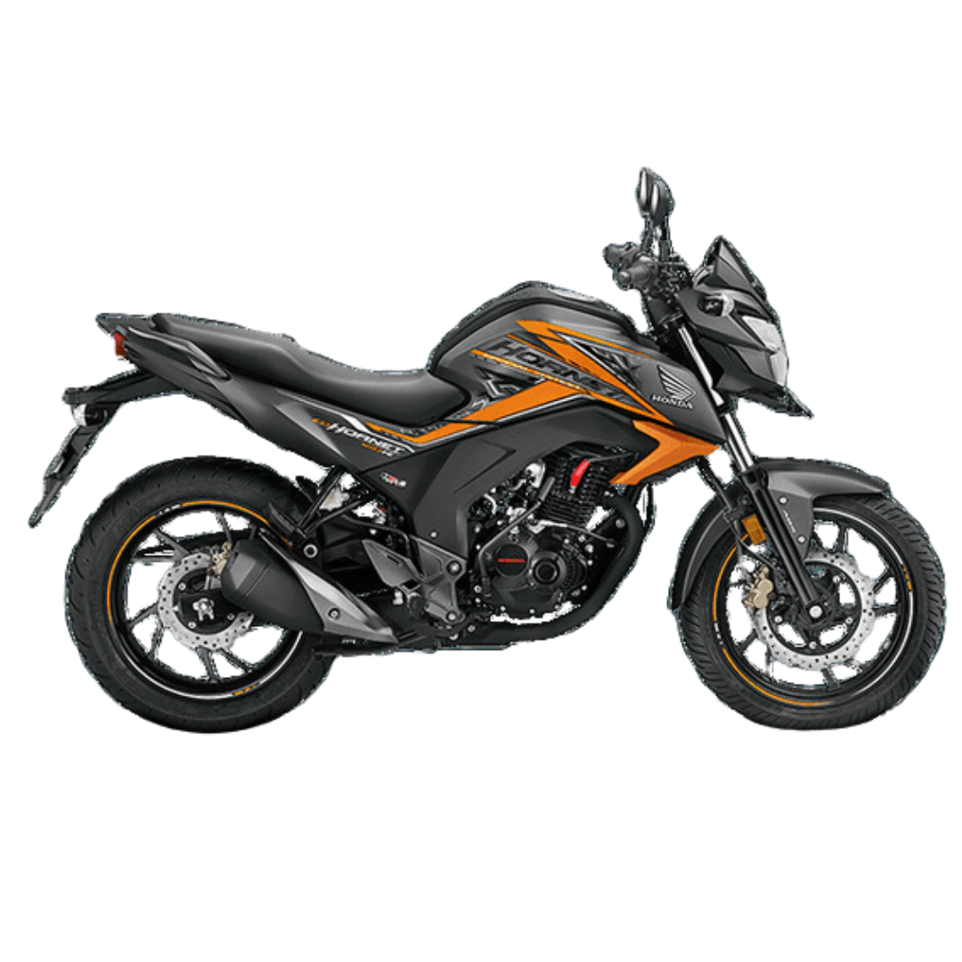 Rear Brake Pad for Honda Hornet Double Disc