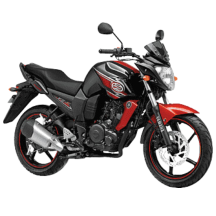 Self Motor FZS V1 (Silver Color)