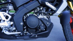 Yamaha MT 15 Indian Non Abs / Abs Stock Engine Guard