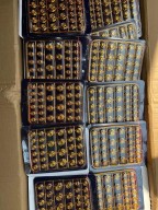 Chain Nut Cap- 5 Sets