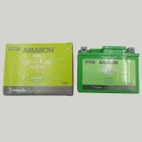 Amaron Pro Bike Rider Battery AP-ETZ4L