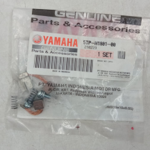 Self Carbon Saluto 125 CC BRUSH SET 5TP-H1801-00