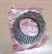 Clutch Plate R15 V3 Indian