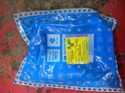 Discovery 125 ST Air filter