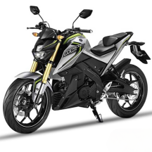 Front Brake Pad M Slaz