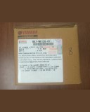 Cylinder Piston Complete R15 V4 Indian, KIT CYLINDER & PISTON ONLY-STD, BK7-WE13A-01