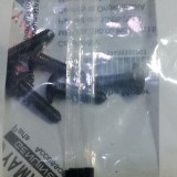 Visor / Windshield Nut Per Piece R15 V3