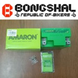 AMARON Pro Bike Rider Beta APETZ5L Battery