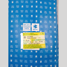 Discover 100cc Chain Cover 2 part