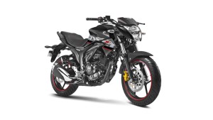 Gixxer 2018 Double Disc Rear Brake Pad