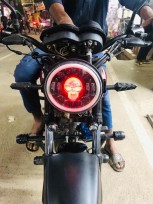 Universal Stylish Skull Headlight