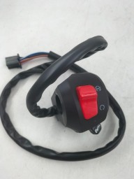 Right Side Switch Chapa FZS V2