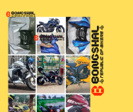 Rtr 150 Engine Guard