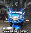 Gixxer Sf V2 winglet